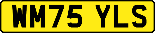 WM75YLS