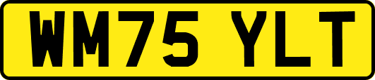WM75YLT