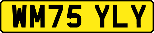 WM75YLY