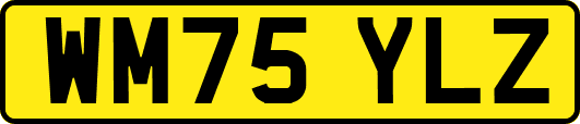 WM75YLZ