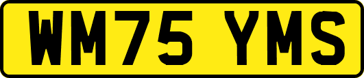 WM75YMS