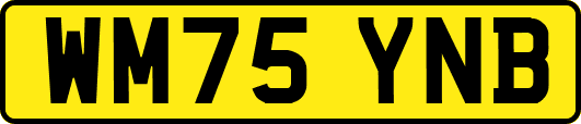 WM75YNB