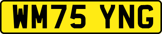 WM75YNG