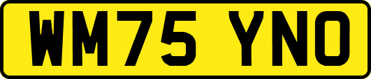 WM75YNO