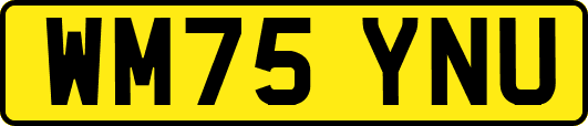 WM75YNU