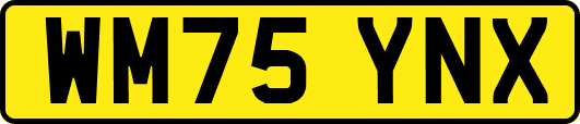 WM75YNX
