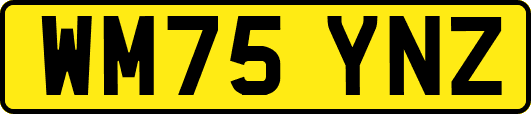 WM75YNZ