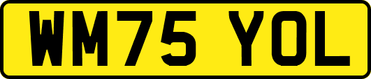 WM75YOL