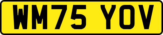 WM75YOV