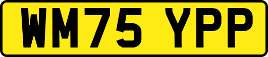 WM75YPP