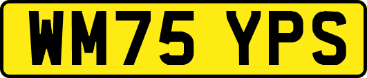 WM75YPS