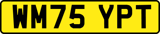 WM75YPT
