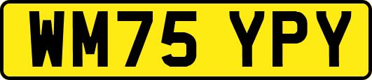 WM75YPY