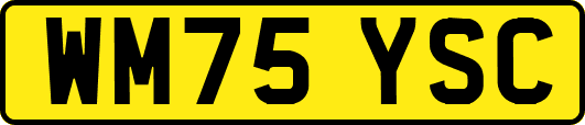 WM75YSC