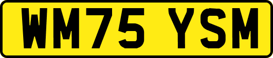 WM75YSM