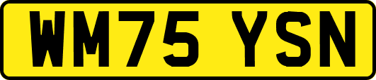 WM75YSN
