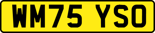 WM75YSO