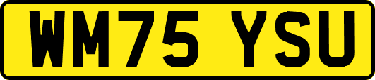 WM75YSU