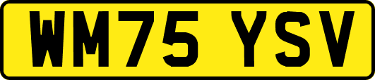 WM75YSV