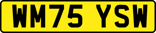 WM75YSW