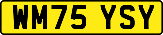 WM75YSY