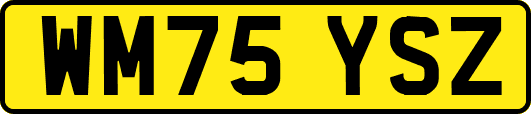 WM75YSZ