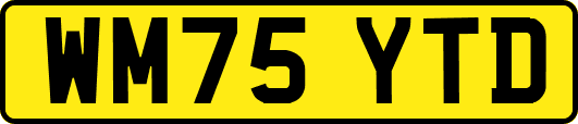 WM75YTD