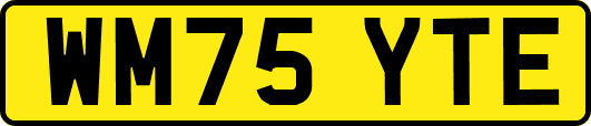 WM75YTE