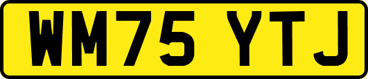 WM75YTJ