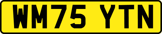 WM75YTN