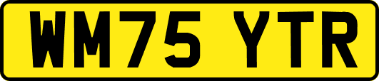 WM75YTR