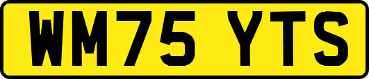 WM75YTS