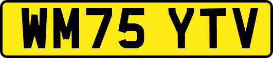 WM75YTV