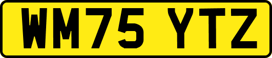 WM75YTZ