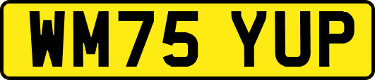 WM75YUP