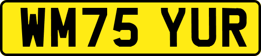WM75YUR