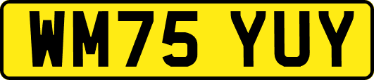 WM75YUY