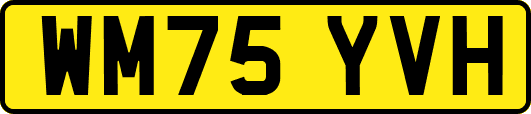 WM75YVH