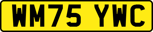 WM75YWC