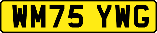 WM75YWG