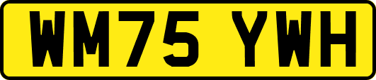 WM75YWH