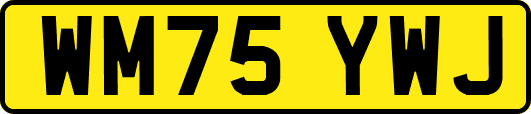 WM75YWJ