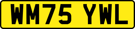 WM75YWL