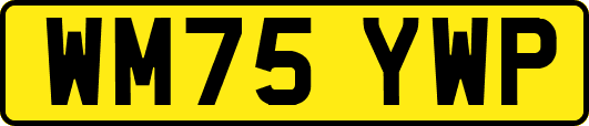 WM75YWP