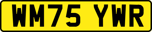 WM75YWR
