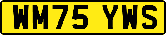 WM75YWS
