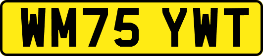 WM75YWT