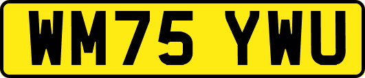 WM75YWU