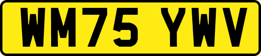 WM75YWV