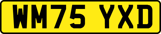 WM75YXD